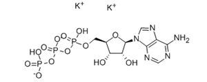 Adenosine 5'-(tetrahydrogen triphosphate), dipotassium salt